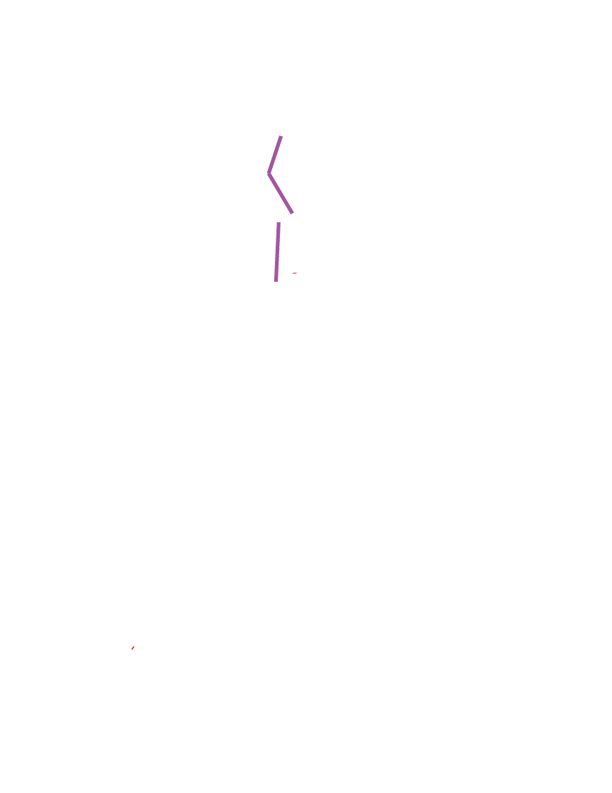 20 Gbps Backbone